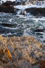 USA-California Montana de Oro State Park Art Print